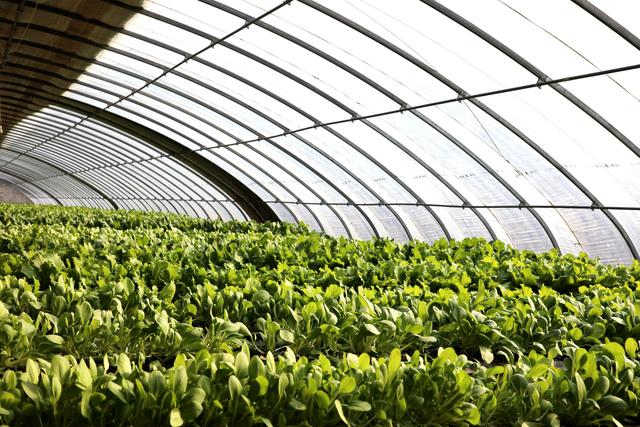 1621911397509948.jpeg 222.jpeg